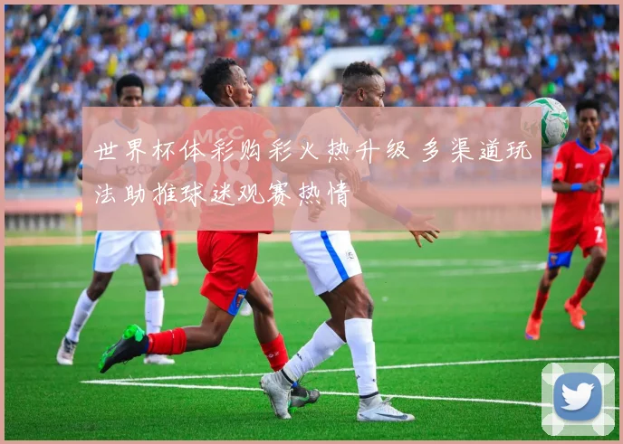 世界杯体彩购彩火热升级 多渠道玩法助推球迷观赛热情