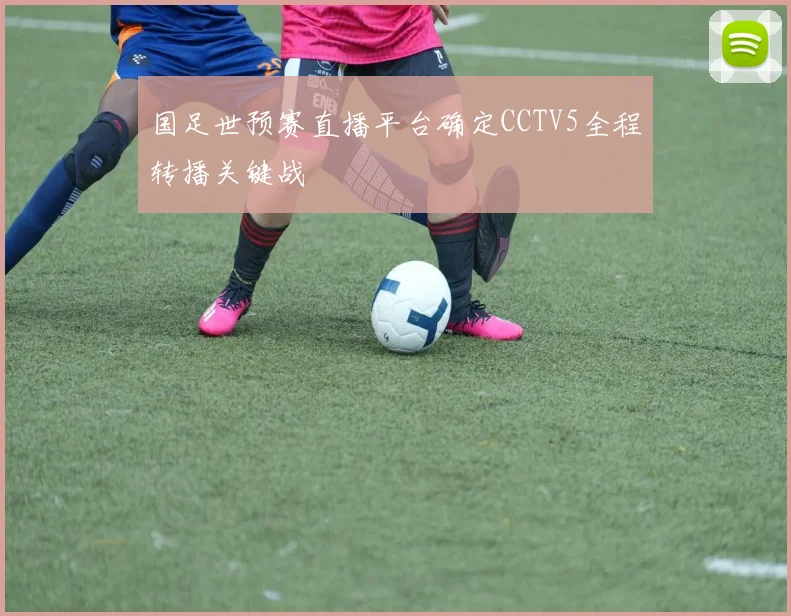 国足世预赛直播平台确定CCTV5全程转播关键战