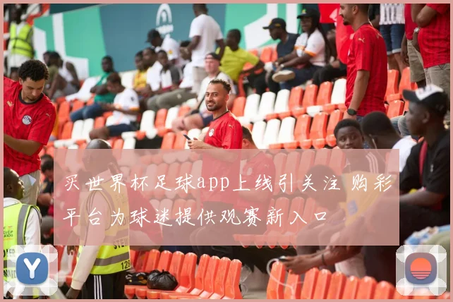 买世界杯足球app上线引关注 购彩平台为球迷提供观赛新入口