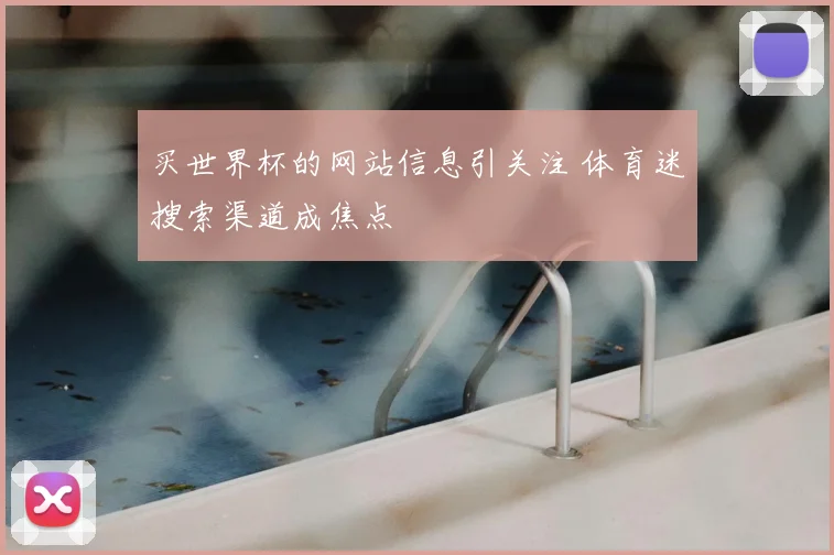 买世界杯的网站信息引关注 体育迷搜索渠道成焦点