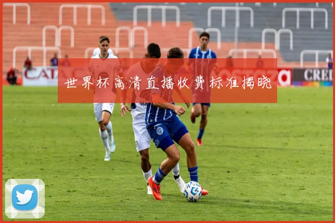 世界杯高清直播收费标准揭晓