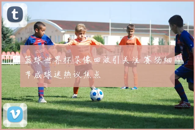 篮球世界杯录像回放引关注 赛场细节成球迷热议焦点