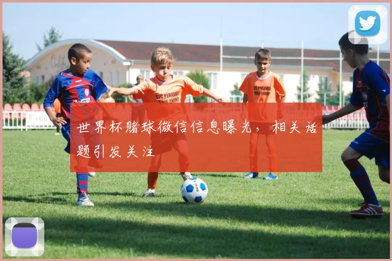 世界杯赌球微信信息曝光,相关话题引发关注